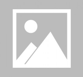 达州北京私人伴游 宁波出现专业“旅拍” 充当导游+地陪 上山下海一路跟随