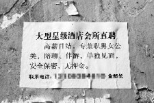 达州珠海伴游雇用网(珠海游览社雇用信息)