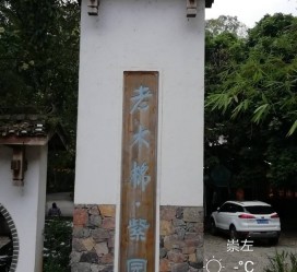达州关于伴游中国伴游你们伴得是什么游的信息