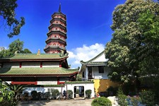 达州广州自由行(广州 自由行)