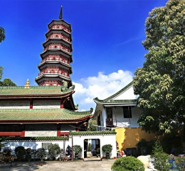 达州广州自由行(广州 自由行)