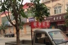 达州上海伴游 用伴游造句大全(5