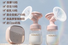 达州奶模(奶模型)