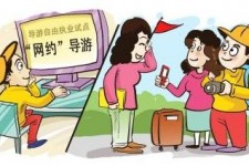 达州伴游是什么