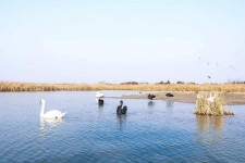 达州南昌附近伴游小妹兼职(1534939978姐的微信德惠市)