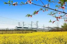 达州高铁游(高铁游戏下载手机版)