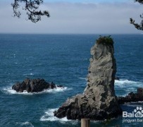 达州旅游全攻略(上海旅游全攻略)