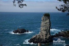 达州旅游全攻略(上海旅游全攻略)