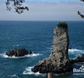 达州旅游全攻略(上海旅游全攻略)