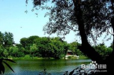 达州西湖旅游攻略(上海到杭州西湖旅游攻略)