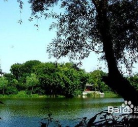 达州西湖旅游攻略(上海到杭州西湖旅游攻略)