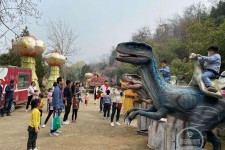 达州中国伴游带你打卡网红南山竹海(南山竹海网上预约)