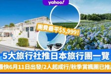 达州旅游价格(旅游价格机制)