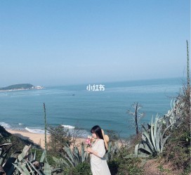 达州厦门周边游(厦门及周边旅游攻略)
