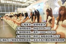 达州雇用旅游男伴游(北京商务酒店雇用伴游)