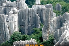 达州贵阳市游览社英语伴游雇用(贵阳市前十名游览社是哪几家)