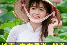 达州日本关东伴游中国(日本关西旅行)