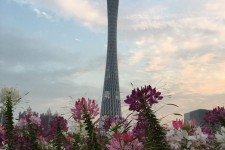 达州广州旅游攻略(杭州到广州旅游攻略)