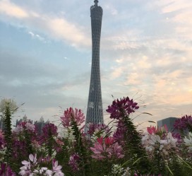 达州广州旅游攻略(杭州到广州旅游攻略)