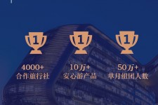 达州上海私人伴游 ​ “小而美”的新时代：2020年国内新跟团消费报告