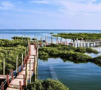达州旅游哪里好玩(云南旅游哪里好玩)