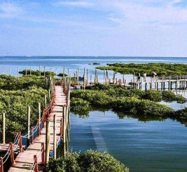 达州旅游哪里好玩(云南旅游哪里好玩)