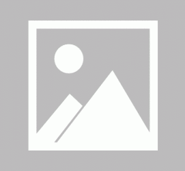 达州私人伴游 黄金周里动“黄”经 天津又现“私人陪游”逆流